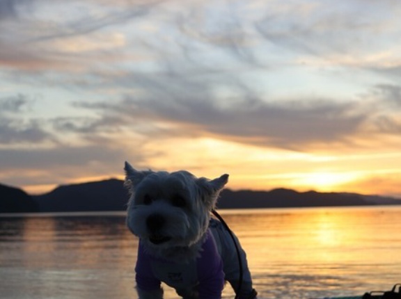 旅先の夕陽