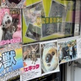 新大久保・珍獣ふれあいスポットに行ってきた