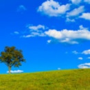 ケンカ後の帰り道～明日香旅行