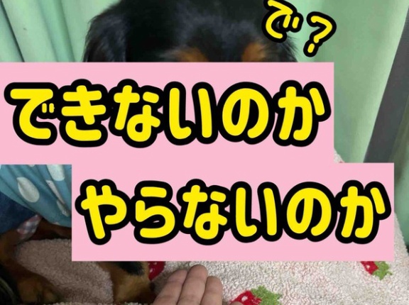 オマエもか。