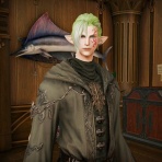 金糸雀は夢を見る