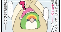 え？飼い主、今日早くないですか……？
