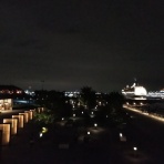 新婚夫婦とうさぎ