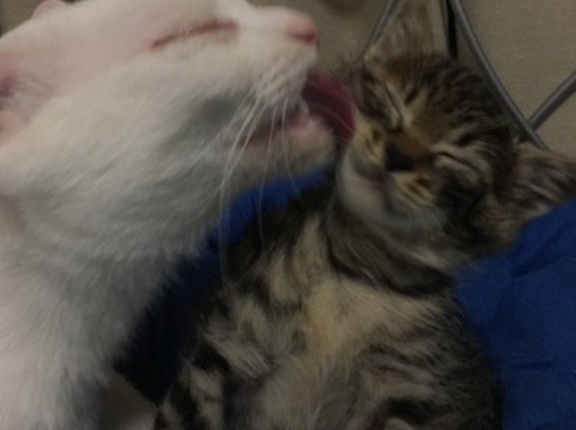 最後に見る光景　20260302