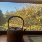 ハックン俳句でしょ！　　　　　　　　～愛犬ハックと俳句を楽しむ日々～