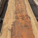 11月の釣果　その2