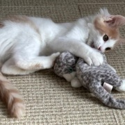 メルシーの誕生日は30枚の写真でお祝い～♪