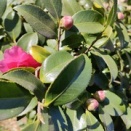 アルコール依存症の家族会で気づいた、共依存と自己受容の大切さ  〜私も当事者でした〜