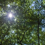 『太陽を浴びる効果、すっきりしたい事』の画像