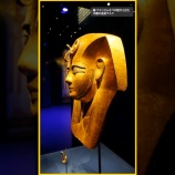 『【動画】エジプト博物展 セレクション ❸ (ラムセス大王展)　（2025年8月 訪問時）』の画像