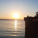 関谷忠一の釣魚大全Ⅱ