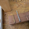 ビカクシダ （コウモリラン）ネザーランド ベイチー 板付にチャレンジ コルク と プラントハンガー WOODPRO  Rust 東京花壇 杉山拓巳 さん