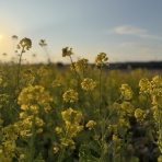 長崎＠諫早市民 ふくちゃんの食う・寝る・遊ぶ日記