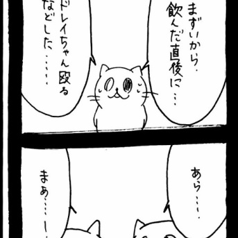 ドワーフキャットタオルちゃん36