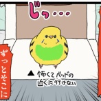 根気強いぞ！待機リエル🦜
