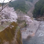 つり吉オヤジの日高川龍神鮎・あまご情報