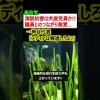 参政党の演説妨害は共産党員の仕業!?  →神谷代表「メディアは報道しろよ?」