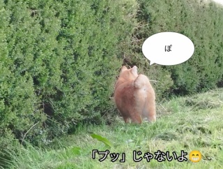 二人の女性を殺害した元警官