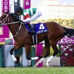 BOSS猿のアナログ肉眼競馬