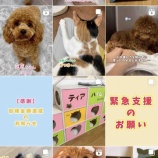 『【ご支援ありがとうございました！】新しいエアコン、設置に至るまで〜（その１）』の画像