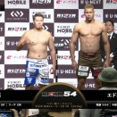 【悲報】日本の格闘技、もうめちゃくちゃ