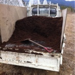 トマト　農業日記。（Traceability）