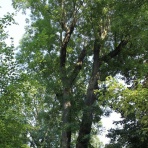 志怪を気まぐれに紹介するブログ