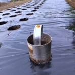 ブルーガーデンと花育て