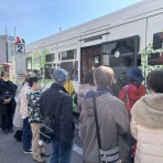 ディスカスの逍遥日誌