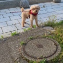 言葉はいらない・・・