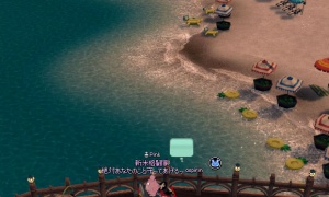 バカ（ンス）には見えない花火です