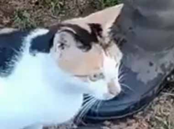 【ちょっｗ】彼が苗を植えようとしていた。その前に、ちゃんと肥料を入れないとね → 彼女はこうした…