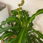 社交ダンスブログ｜中田ダンススクールブログ