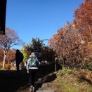 ぶな林亭の横の道を上がっていきました