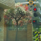 『いろんな可能性と音色(*^^*)』の画像