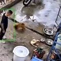 【動画】飼い犬が熱い鍋に落ちてしまう事故。これはキツい(@_@;)