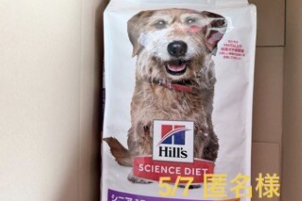 Gundogs様専用 吉川晃司 KOJI KIKKAWA The Gundogs プロモCDR 非売品