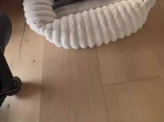 可愛い彼女は初めての24時間勤務だった。もう無理、限界… → シフト明けにこうなった…