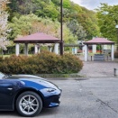 島守の新井田川沿いを６ｋｍ走ってみた