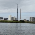 2026　5/24(日)東京湾ツーリング