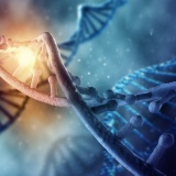 最初の生物って不老不死だったのか？ちょっと考えてみた