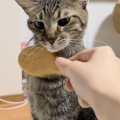 愛しのぽぽちゃん