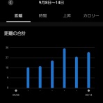アルスのマラソントレーニング日記