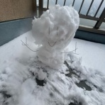 成城大学漕艇部