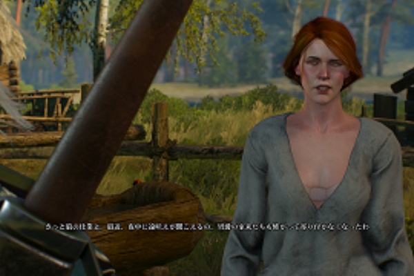 ウィッチャー３ 娼婦とのエッチで経験値が貰えるぞｗｗｗｗ 極楽チャンネル 2chまとめ