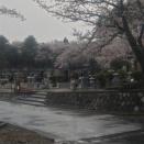 もうひと踏んばりか