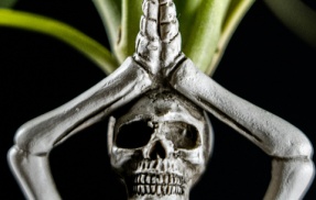 魔虫が起業してデーモンホイホイの販売を開始 売れ行き好調 殺虫剤販売の報復か