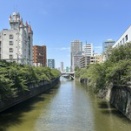 当たらない予想