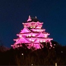 北のロイヤル定点観測26…桜色の大阪城🏯と北欧館跡となかぽんデー