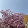 ４月の定休日のお知らせ📢